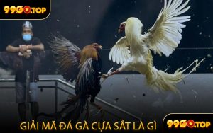 Giải Mã Đá Gà Cựa Sắt Là Gì