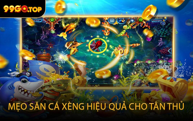 Mẹo săn cá Xèng hiệu quả cho tân thủ